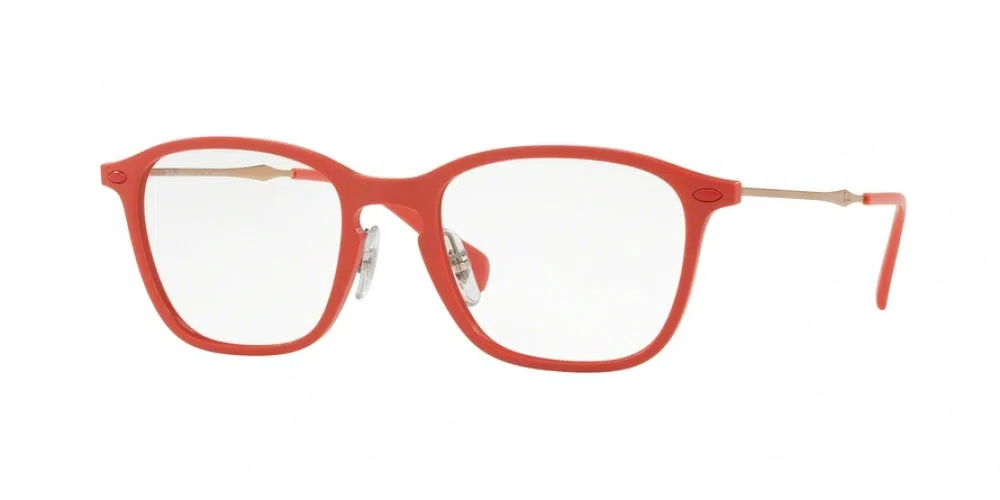 Ray-Ban 8955 Eyeglasses